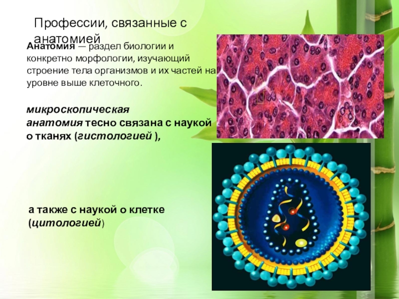 10 работ связанных с биологией