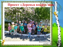 Презентация проекта  Деревья вокруг нас в старшей группе