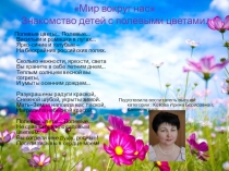 Мир вокруг нас Знакомство детей с полевыми цветами