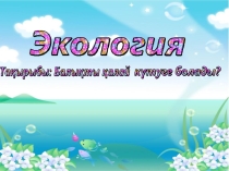 Балықты қалай күтуге болады