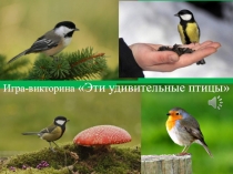 Презентация Игра-викторина Эти удивительные птицы
