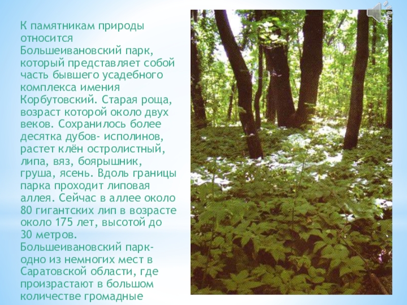 Памятниками природы являются. К памятникам природы относят. Памятник природы рассказ. Сочинение про памятники природы. Памятники природы 3 класс.