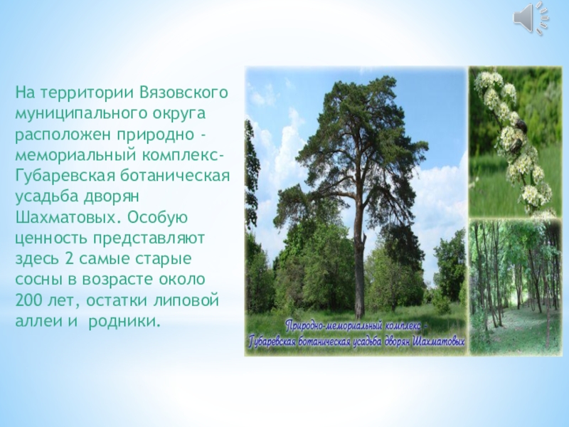 В твоей местности. Памятники природы Пензенской области. Памятники природы Пензы Пензенской области. Памятники природы Ленинградской области. Памятники природы Ленинградской области презентация.