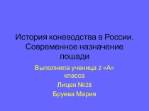 Исследовательская работа  Лошади 2 класс