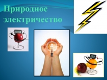 Презентация проект Природное электричество