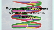 Презентация по биологии 9 класс Углеводы