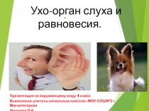 Презентация к уроку окружающий мир Уши орган слуха и равновесия(4 класс)
