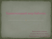 Удивительный мир бабочек