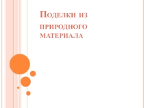 Презентация для урока технологии Природный материал