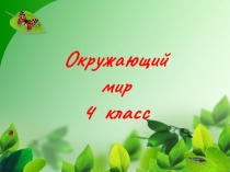 Презентация к уроку окружающего мира по теме Пустыни