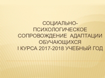 Социально-психологическое сопровождение адаптации обучающихся 1 курса