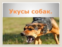 Учебный проект Укусы собак ОБЖ (5 класс)