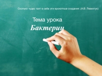 Презентация к уроку: Бактерии (5 класс)