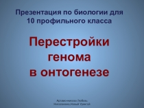 Презентация по биологии для 10 профильного класса Перестройки генома в онтогенезе