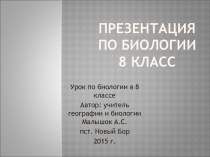 Презентация по биологии на тему Строение и функции кожи (8 класс)
