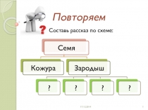 Презентация по природоведению на тему Могут ли растения производить потомство без семян? (5 класс)