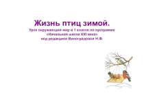 Электронный образовательный ресурс - презентации для учащихся 1 класса на тему Жизнь птиц зимой