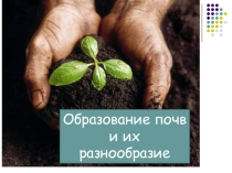 Презентация по географии на тему Образование почв и их разнообразие