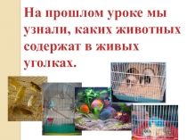 Презентация по окружающему миру на тему Прок кошек и собак