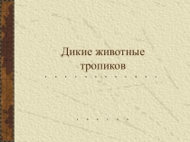 Презентация по географии на тему Дикие животные тропиков