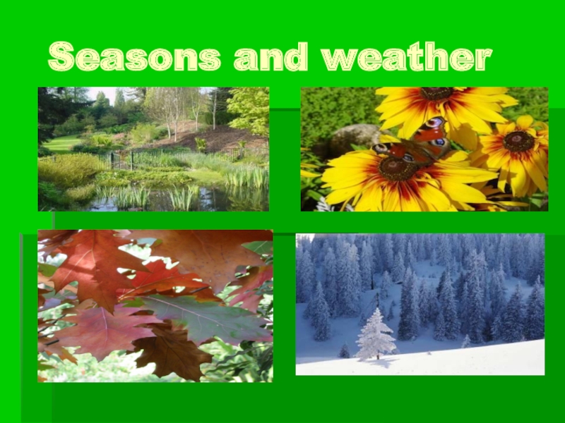 Презентация на тему seasons and weather