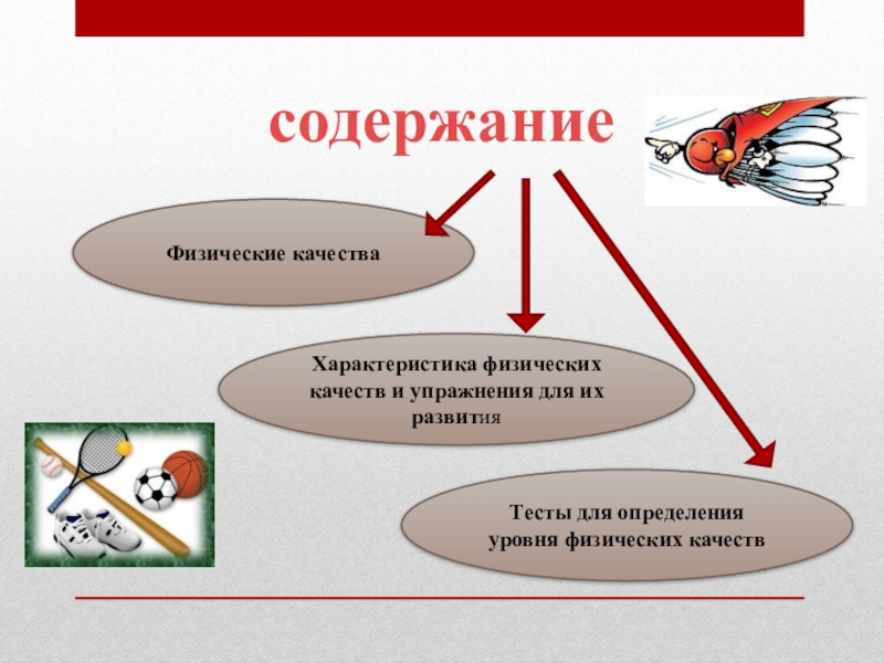 Реферат: Физические качества и упражнения для их развития