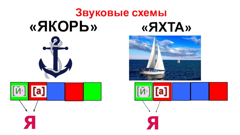 Схема звуковая слова якоря