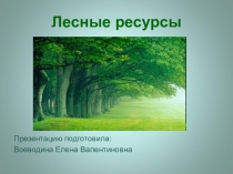 Презентация по окружающему миру на тему Лесные ресурсы