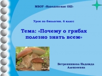 Презентация к уроку по биологии в 6 классе по теме: Почему о грибах полезно знать всем