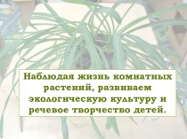Презентация по экологическому воспитанию в ДОУ Комнатные растения