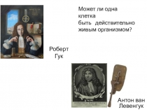 Презентация по биологии на тему Особенности строения одноклеточных и многоклеточных организмов