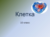 Презентация по биологии на тему Строение клетки(10 класс)