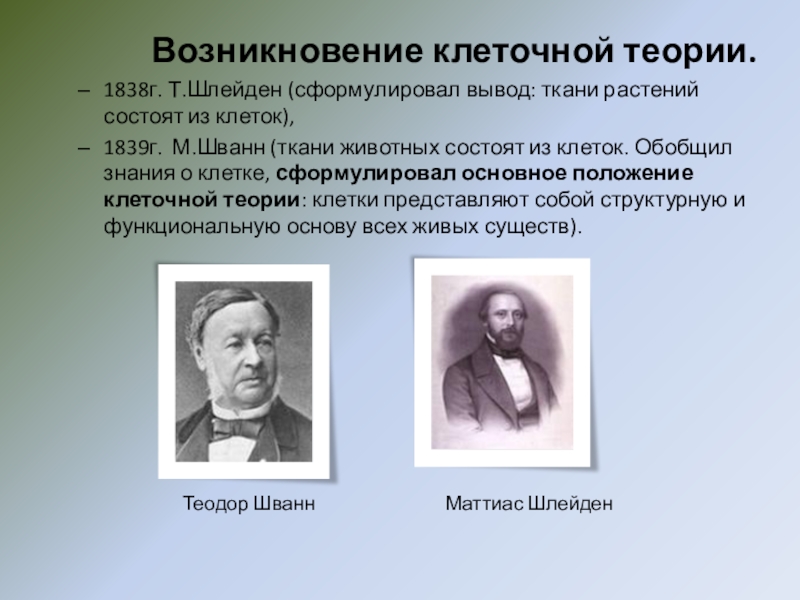 10 клеточная теория. Клеточная теория 1838-1839. Клеточная теория положения 1838 1839. Основные положения клеточной теории сформулировали. Шванн сформулировал.