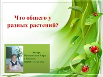 Презентация Что общего у разных растений