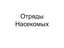 Презентация по биологии 7 класса на тему Отряды насекомых