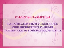 Қанайналымның үлкен және кіші шеңберлері.Қанның тамырлардың бойымен қозғалуы. тақырыбы бойынша презентация (8-сынып)