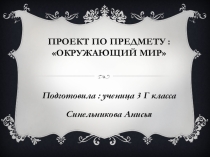 Проект по окружающему миру 3 класс Проращивание семян
