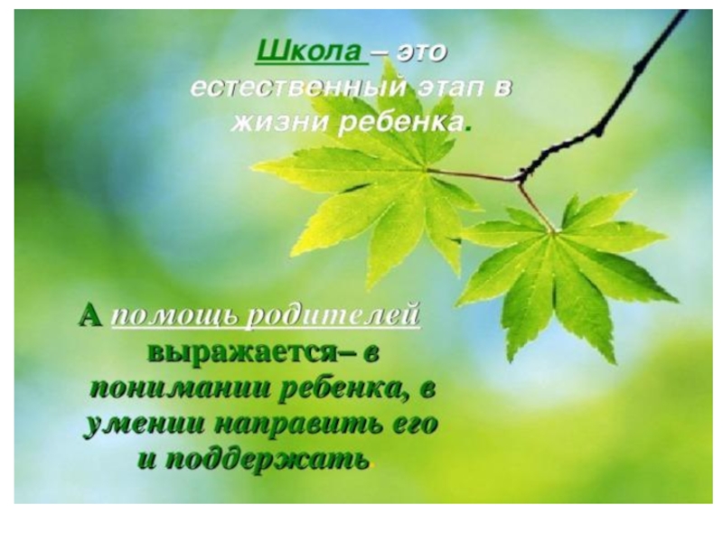 Теоретические проблемы подготовки детей к школе