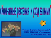 Презентация по природоведению на тему Комнатные растения и уход за ними (5 класс)