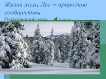 Презентация по окружающему миру на тему Жизнь леса