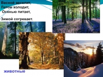 Презентация по окружающему миру Какие бывают животные