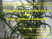 Исследовательский проект на тему Алоэ - незаменимый помощник 4 класс