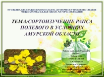 Презентация Сортоизучение рапса полевого