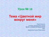 Презентация по английскому языку Цветной мир вокруг меня к учебнику С.Г. Тер-Минасовой