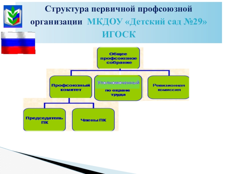 Структура первичной профсоюзной организации схема