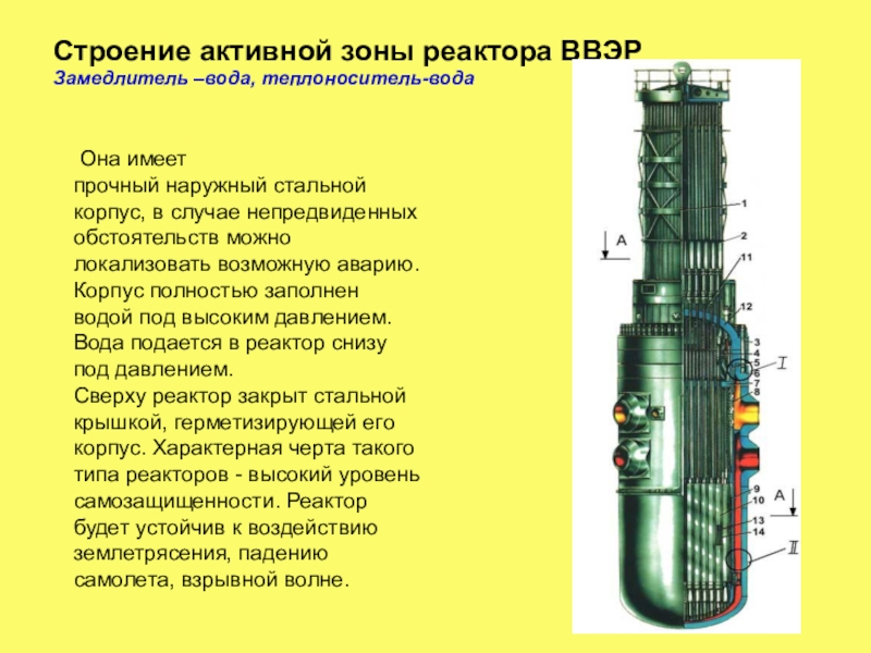 Строение ядерного реактора. Реактор типа ВВЭР 1000 корпус реактора. Ядерный реактор строение ВВЭР. Строение реактора ВВЭР. Активная зона реактора ВВЭР 1000.