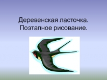 Деревенская ласточка. Поэтапное рисование.