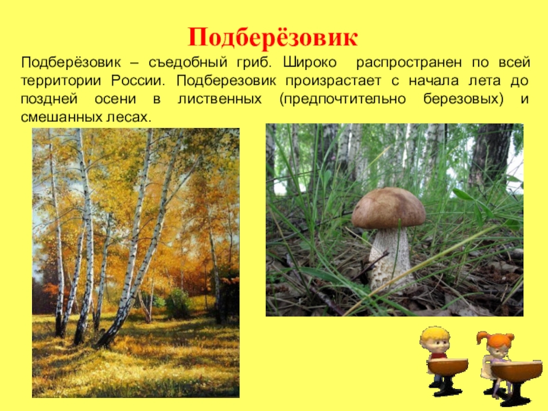 Презентация по русскому языку на тему Местоиммение ПодберёзовикПодберёзовик – съедобный гриб. Широко распространен по всей территории России. Подберезовик ПодберёзовикПодберёзовик – съедобный гриб. Широко распространен по всей территории России. Подберезовик произрастает с начала лета до поздней