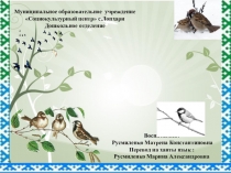 Птицы ЯНАО и Шурышкарского района