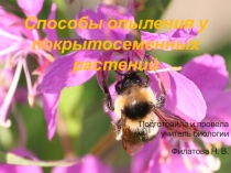 Презентация по биологии на тему Опыление(6 класс)